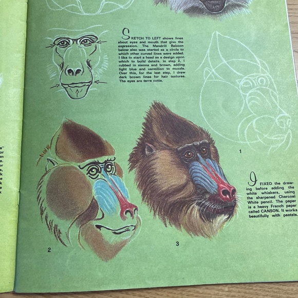 How to Draw and Paint Animal Expressions Walter J Wilwerding 1950s Vtg Art Book - Picture 4 of 5